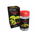 Phytoclassics Ginkgo biloba 90 gélules
