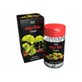 Phytoclassics Ginkgo biloba 90 gélules