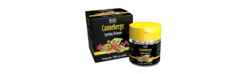 Phytoclassics Sid Nutrition